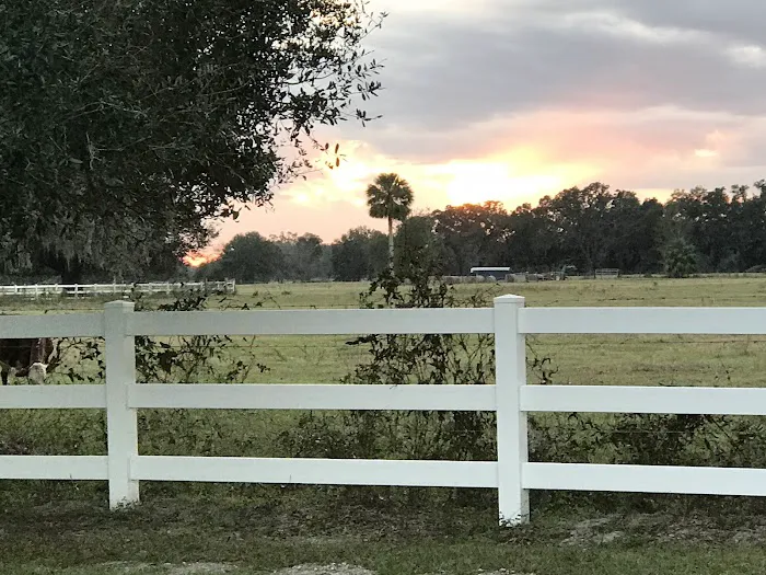 Florida Grande Motor Coach Resort 7