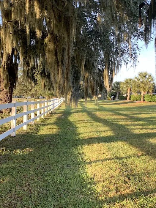 Florida Grande Motor Coach Resort 8