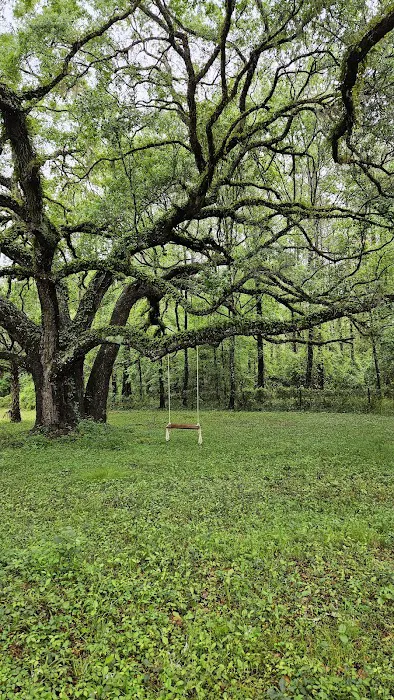 Honey Bee Ranch 3
