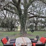 Honey Bee Ranch