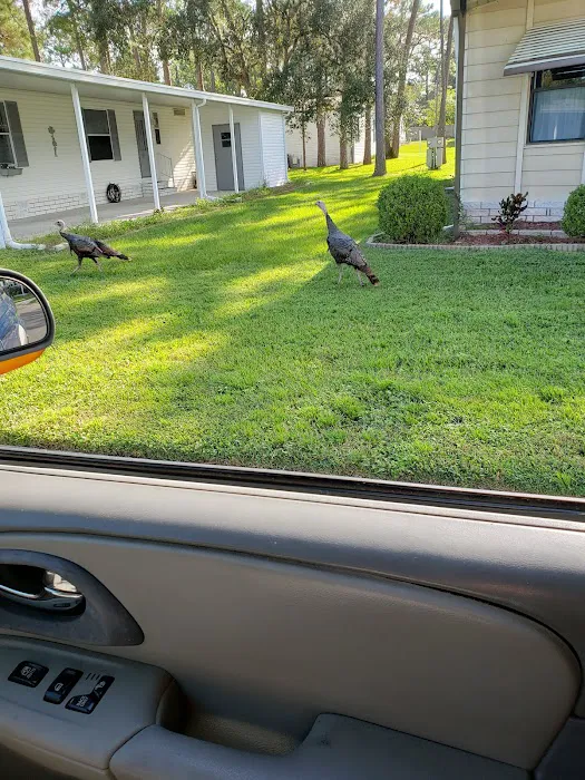 Windward Village Community 8