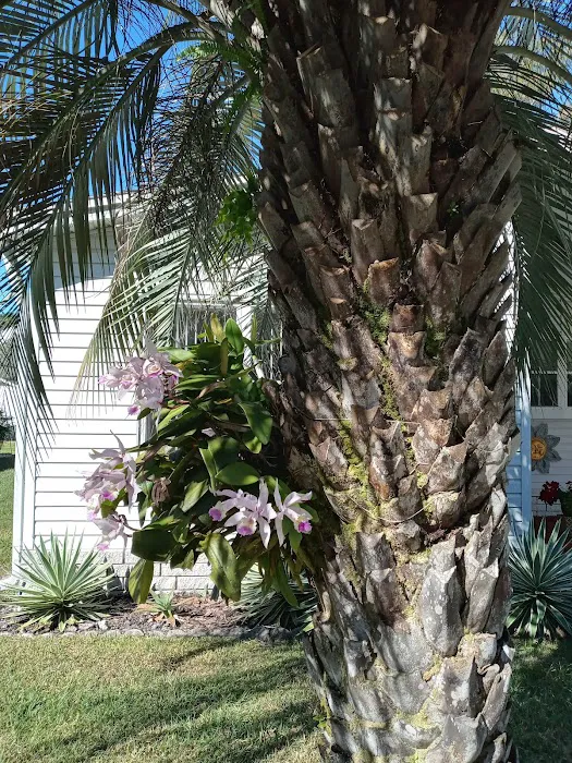 Windward Village Community 7