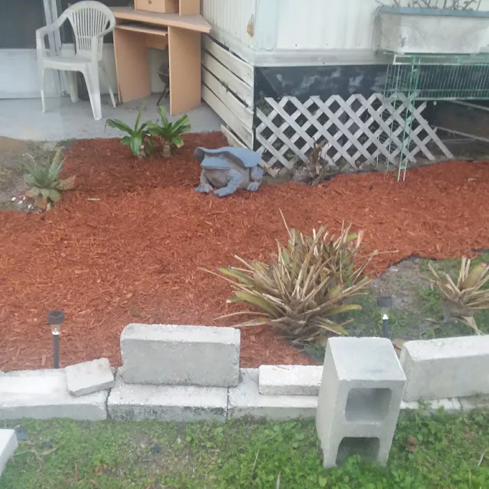 Big Tree Properties LLC 5