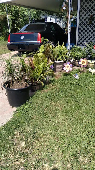 Big Tree Properties LLC 7