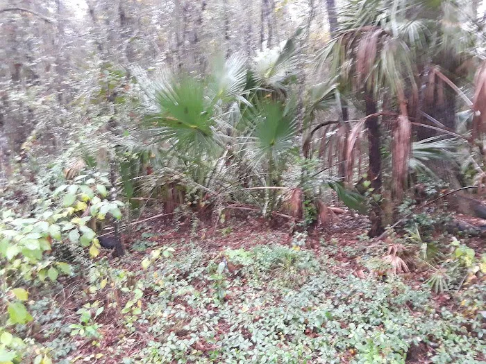 Big Tree Properties LLC 8