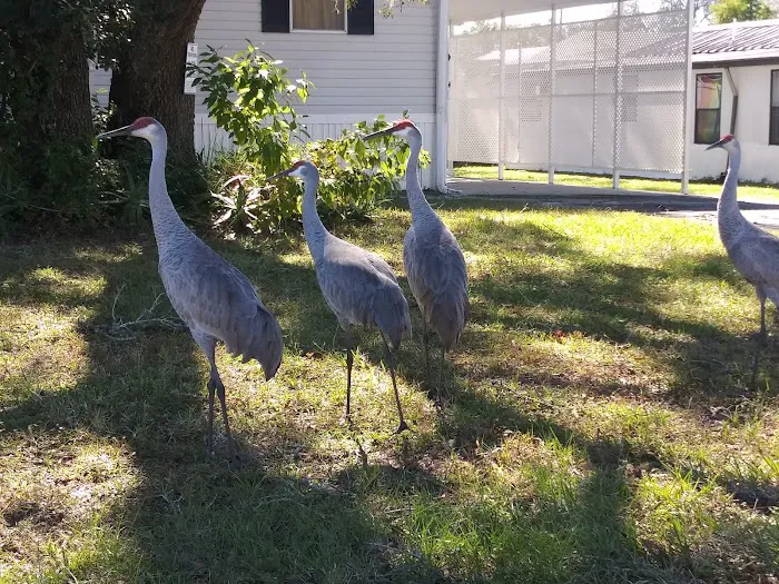 Fort Dade Mobile Home Park 3