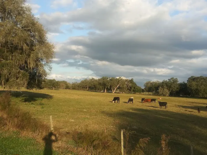 Fort Dade Mobile Home Park 1