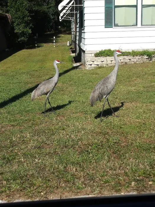Fort Dade Mobile Home Park 4