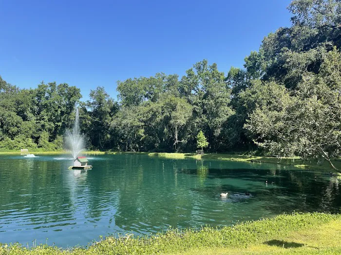 Sawmill Campground 5