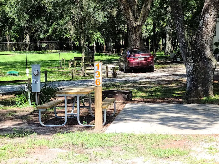 Sawmill Campground 10