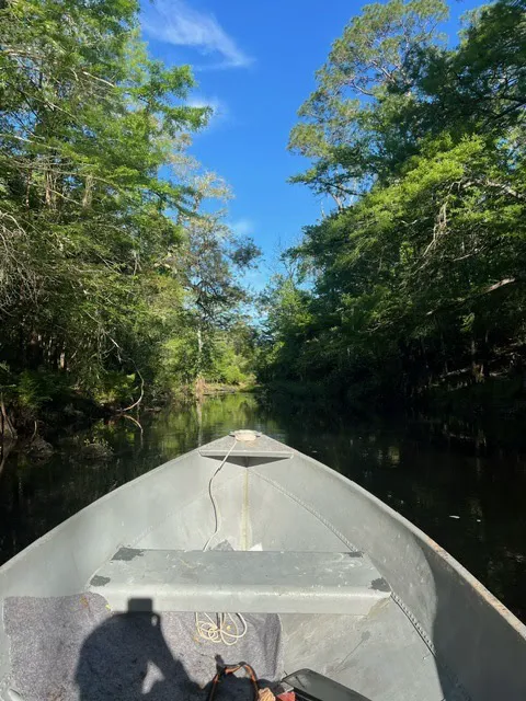 Withlacoochee River RV Park 5
