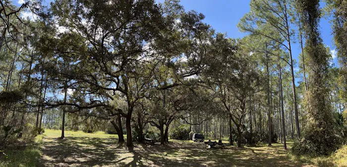 Oaks Group Camp 1