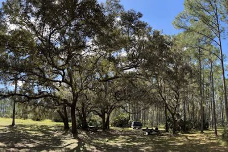 Oaks Group Camp