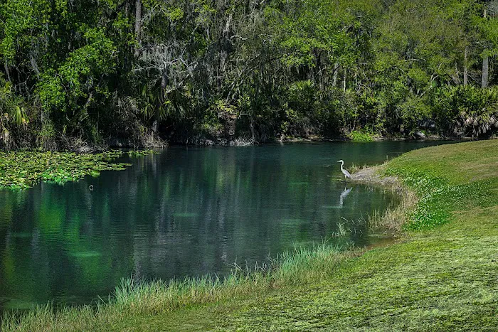 Wekiva Falls 5