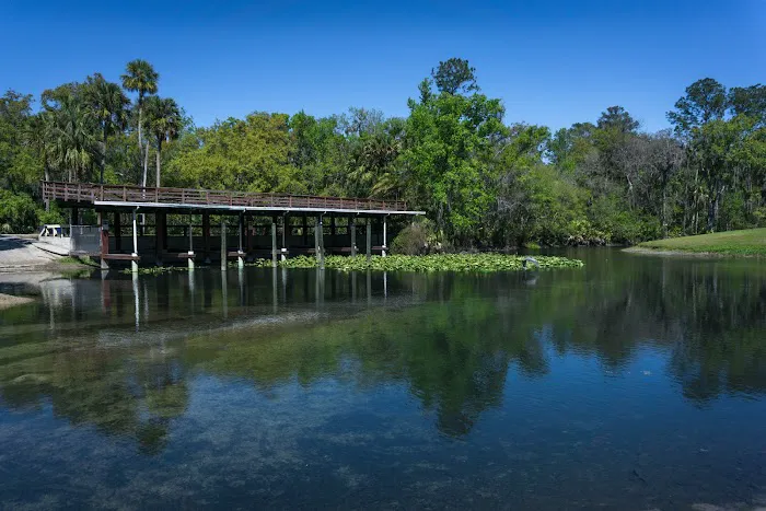 Wekiva Falls 4