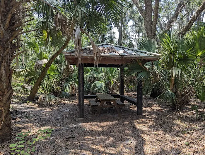 Black Bear Campsite / Shelter 2