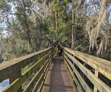 Black Bear Campsite / Shelter