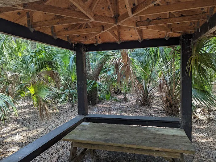 Black Bear Campsite / Shelter 5