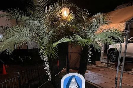Twelve Oaks RV Resort
