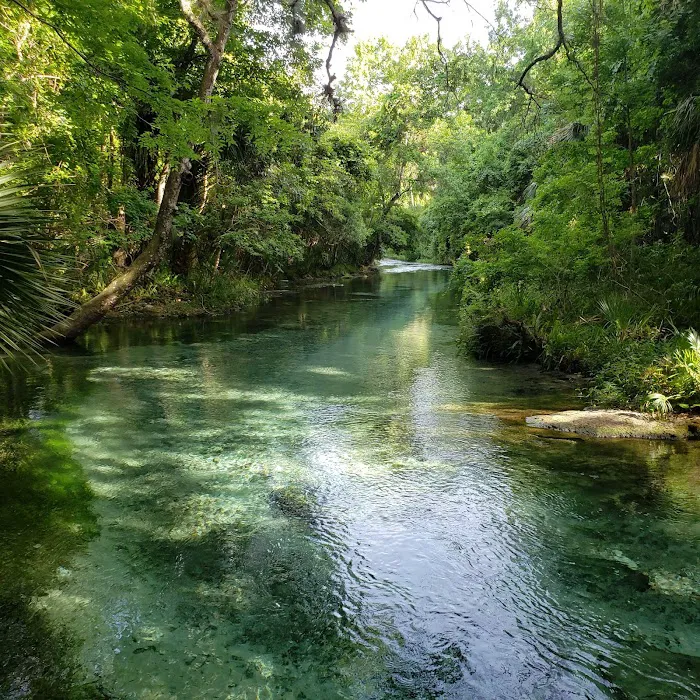 Kelly Park Campground 1