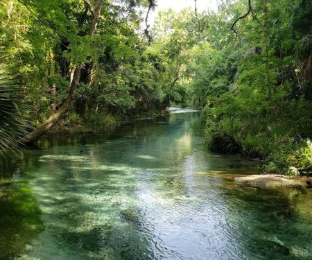 Kelly Park Campground