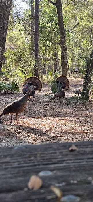 Kelly Park Campground 9