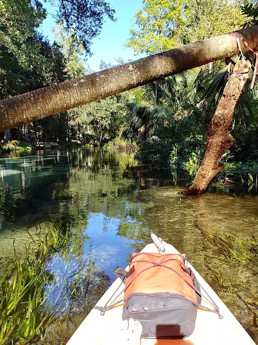 Kelly Park Campground 10