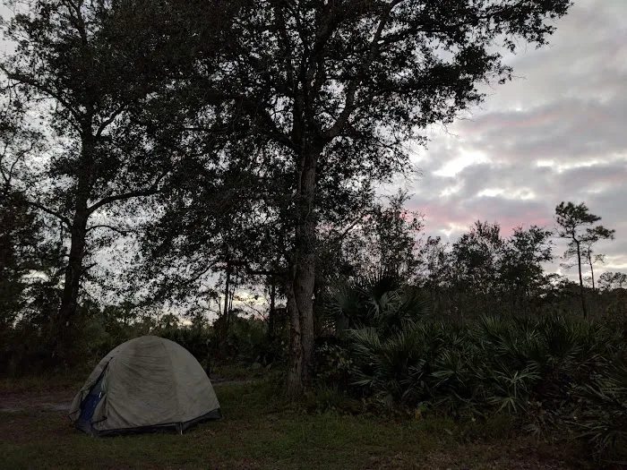 Camp Cozy 6