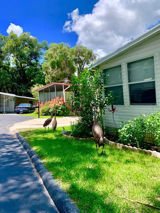 Land O' Lakes Mobile Home Community 3