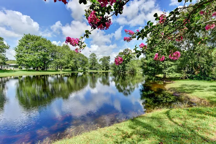 Lake Helen Villa 5