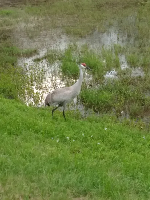 Hidden Valley Park 8