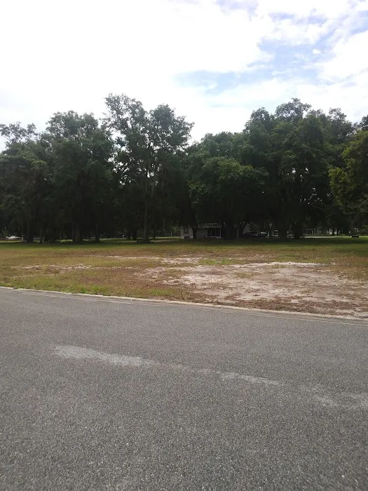 Meadows of Astatula 1