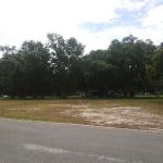 Meadows of Astatula