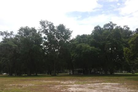 Meadows of Astatula