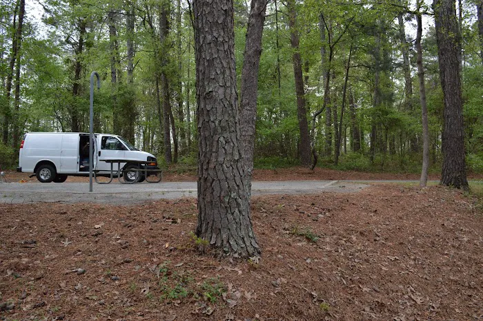 Bald Ridge Creek Campground 3