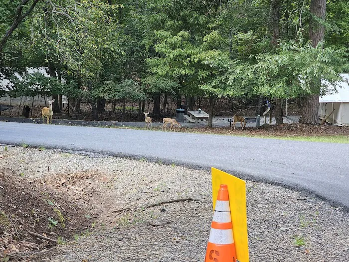 Shady Grove RV Park 3