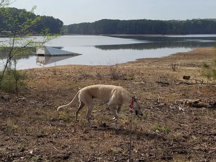 Lakepoint Campground 2