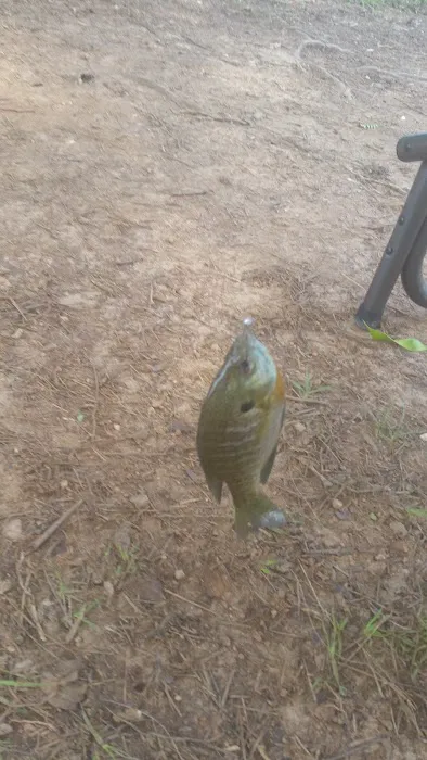Lakepoint Campground 8
