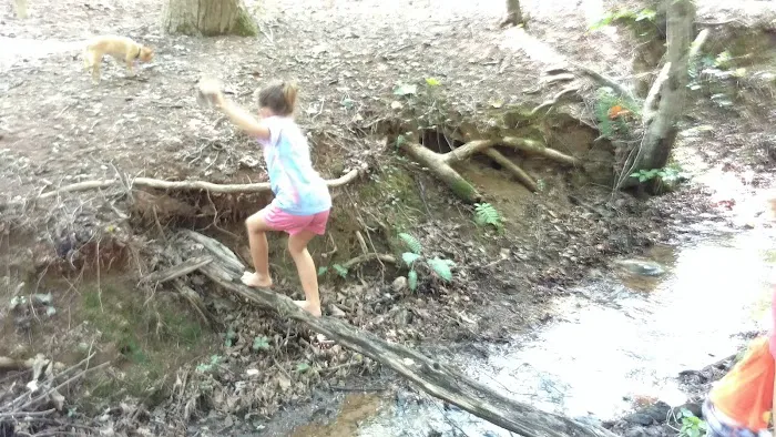Poplar Springs Campgrounds 6