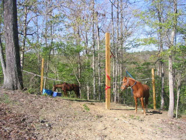 Campground at Grove River Ranch 4