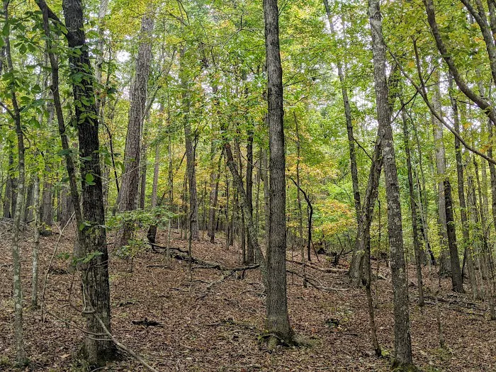 Lake Russell Campground 4