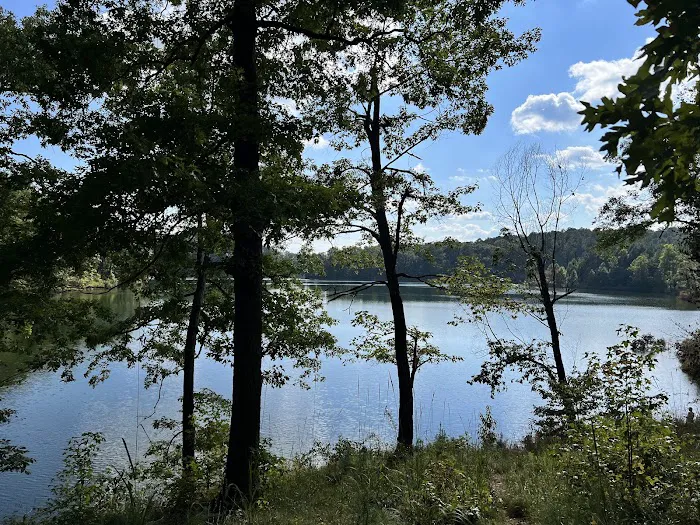 Lake Russell Campground 7