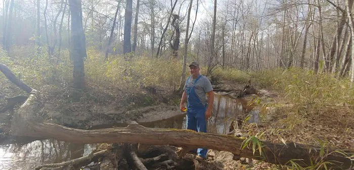 Bailey Creek Campground 4