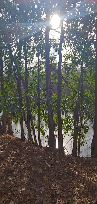 Bailey Creek Campground 7