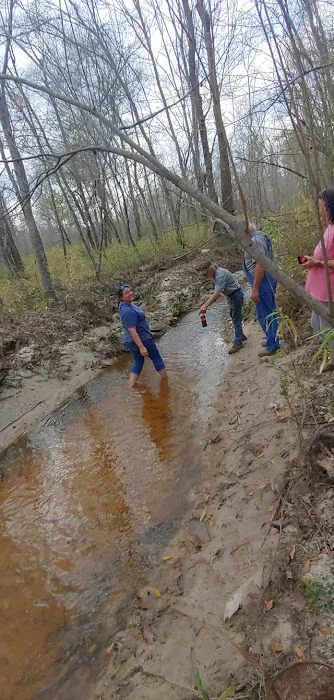 Bailey Creek Campground 9
