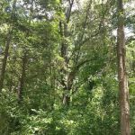 Hartwell Village Mobile Home