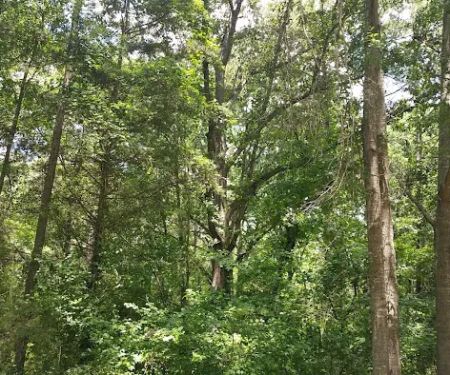 Hartwell Village Mobile Home