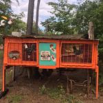 MONTANA AVENUE LAKESIDE CAMPGROUND LLC