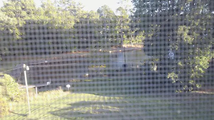 Bg's Campground 5