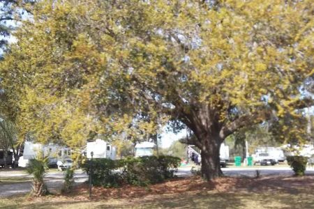 Driftwood RV Park